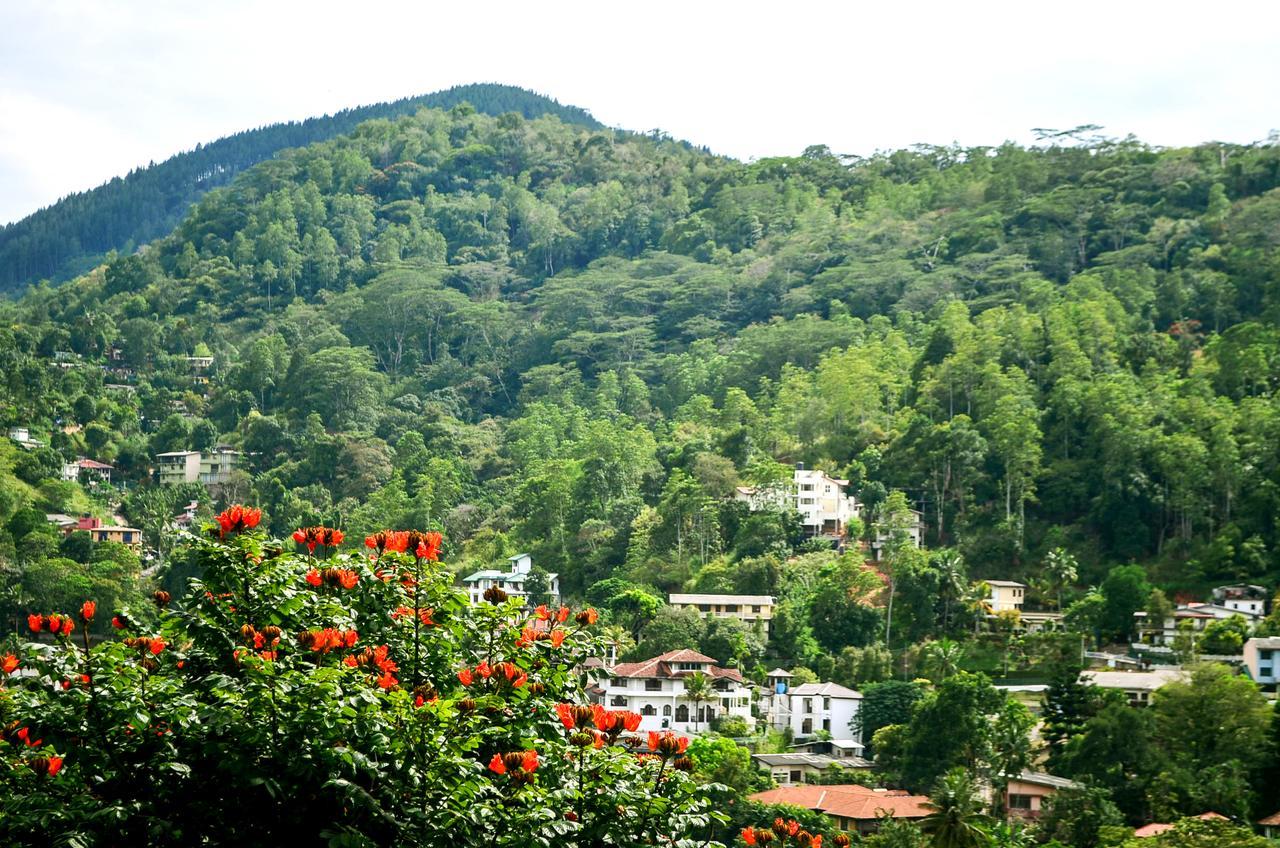Villa Nine Kandy Eksteriør billede